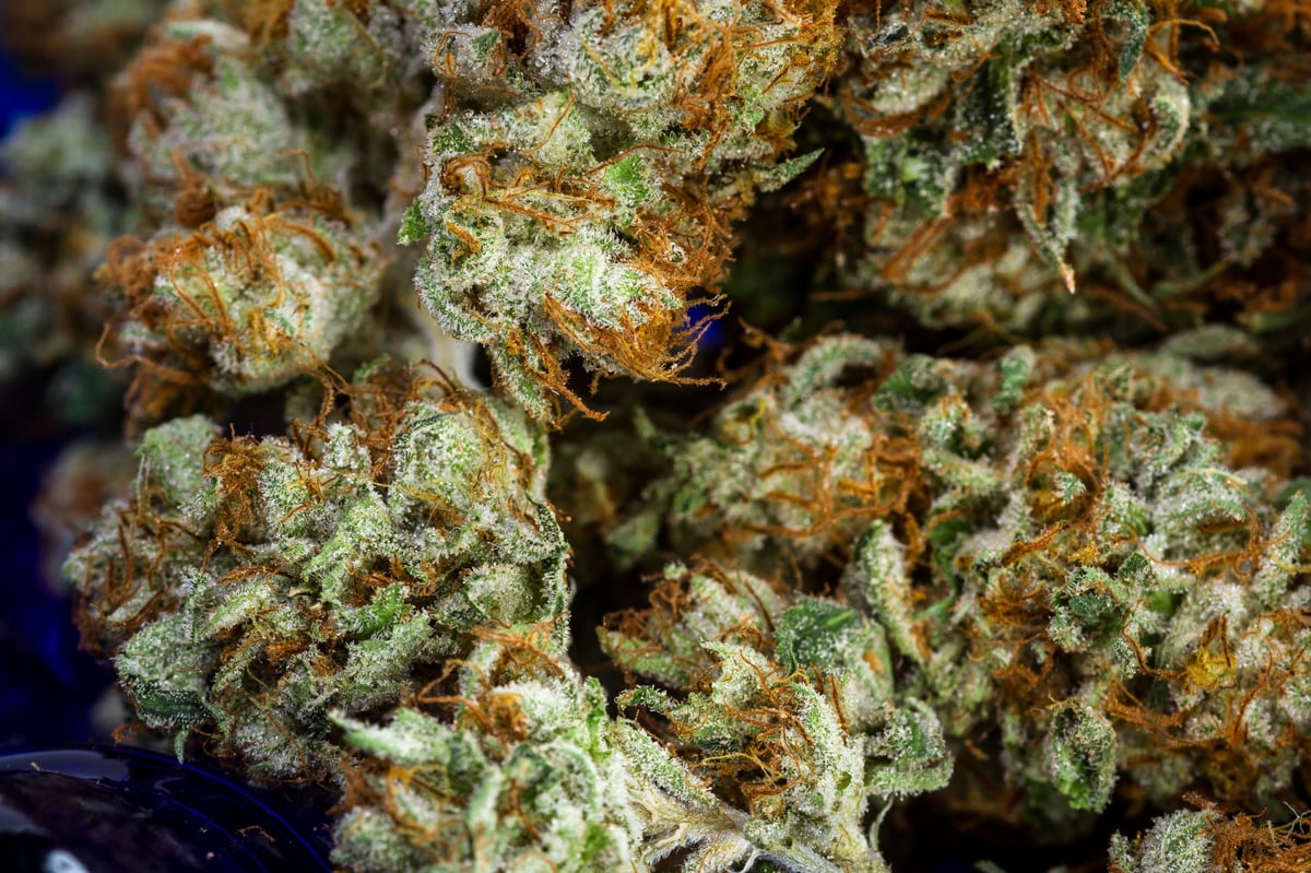 Close up of the fibers and crystals on a cannabis bud