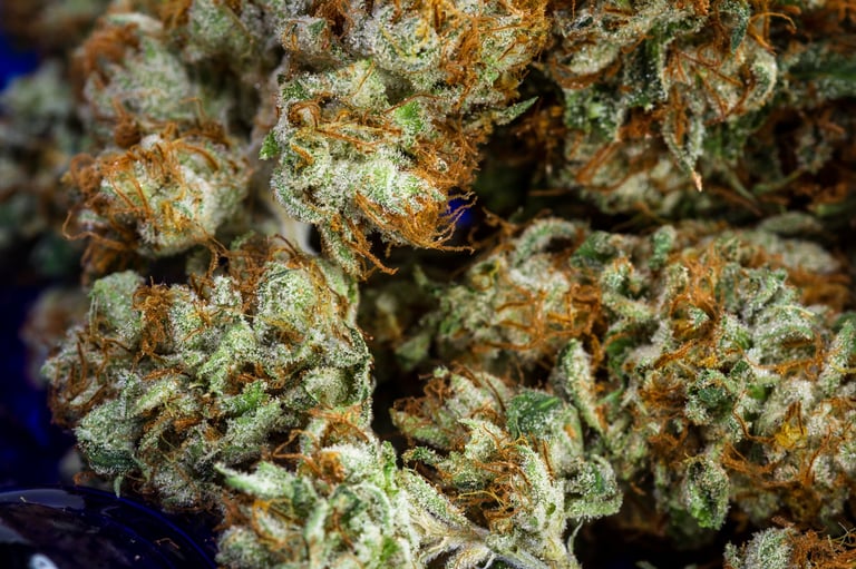 Close up of the fibers and crystals on a cannabis bud