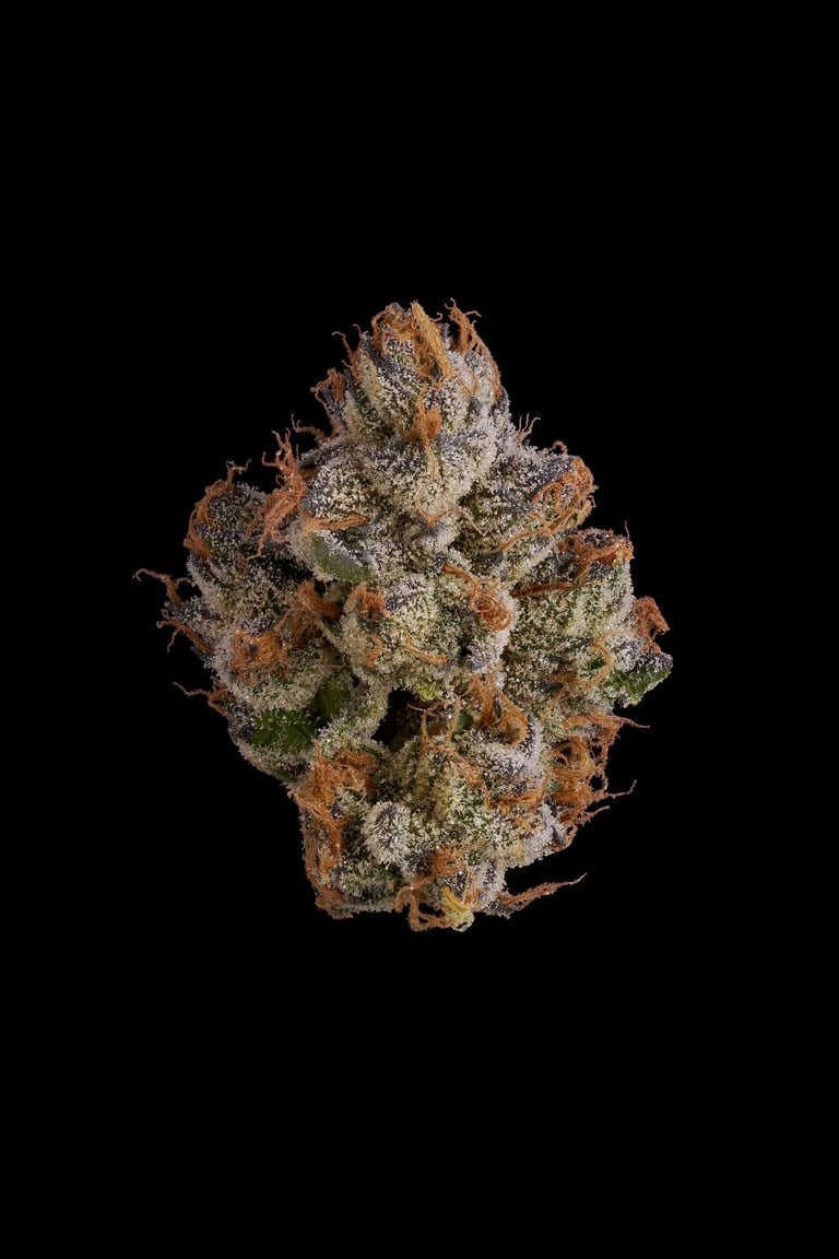 Photo of a cannabis strain on a black background