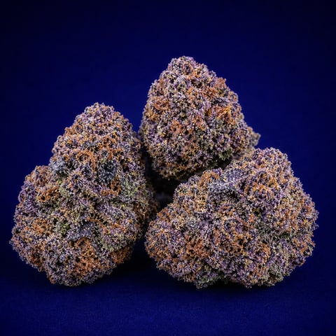 Four dense, textured cannabis flower buds stacked together against a dark blue background