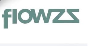 FLOWZS logo in teal green text on white background