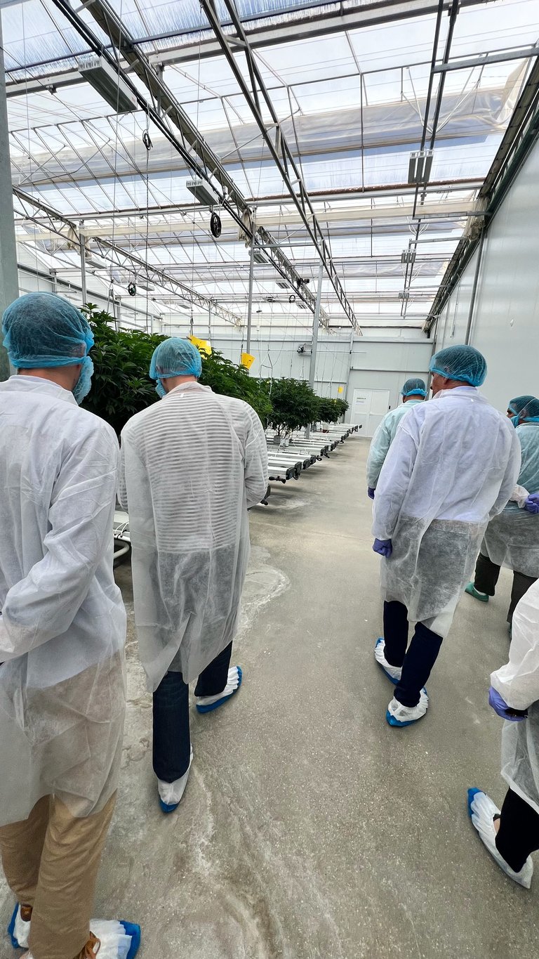 Workers in protective gear walking through a modern greenhouse with glass roof panels and rows of plants on shelves.